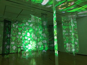 安祥文化のさとに投稿された画像（2022/8/27）