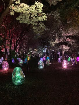 チームラボ ボタニカルガーデン 大阪に投稿された画像（2022/8/27）