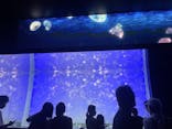 アクアワールド茨城県大洗水族館に投稿された画像（2022/8/27）