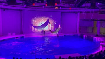 アクアワールド茨城県大洗水族館に投稿された画像（2022/8/27）