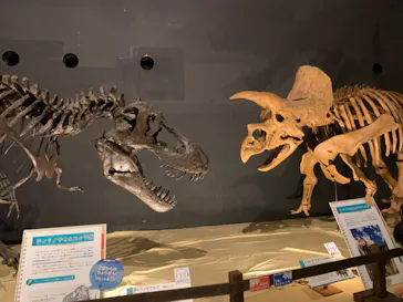 ひらかたパークに投稿された画像（2022/8/27）