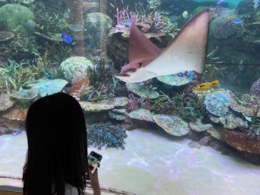 名古屋港水族館に投稿された画像（2022/8/27）