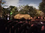 よこはま動物園ズーラシアに投稿された画像（2022/8/27）