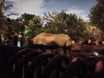 よこはま動物園ズーラシアに投稿された画像（2022/8/27）