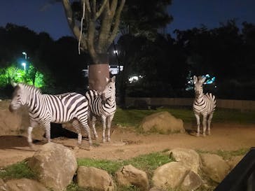 よこはま動物園ズーラシアに投稿された画像（2022/8/27）