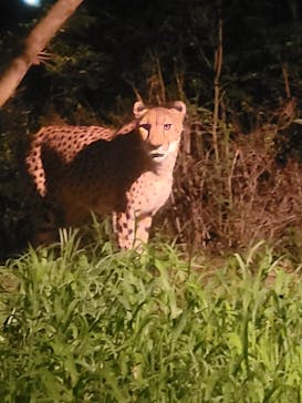 よこはま動物園ズーラシアに投稿された画像（2022/8/27）