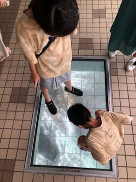 徳島県立 渦の道に投稿された画像（2022/8/27）