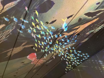 安祥文化のさとに投稿された画像（2022/8/27）