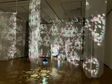 安祥文化のさとに投稿された画像（2022/8/27）