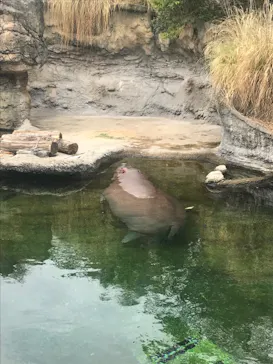 天王寺動物園に投稿された画像（2022/8/27）