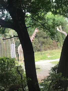 天王寺動物園に投稿された画像（2022/8/27）