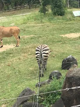 天王寺動物園に投稿された画像（2022/8/27）