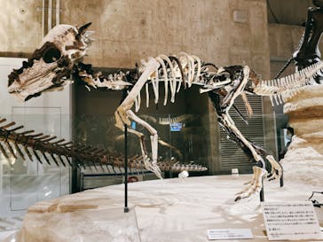 国立科学博物館に投稿された画像（2022/8/27）