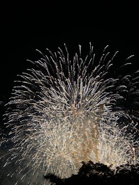 西武園ゆうえんちに投稿された画像（2022/8/27）