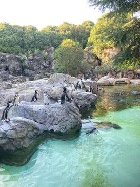 よこはま動物園ズーラシアに投稿された画像（2022/8/27）