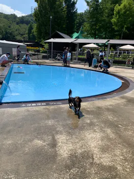 わんダフルネイチャーヴィレッジに投稿された画像（2022/8/27）