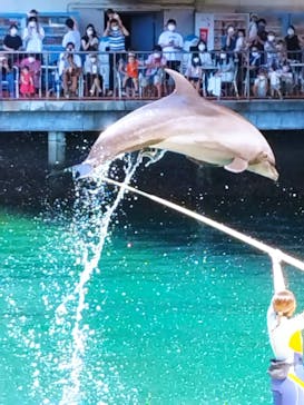 伊豆・三津シーパラダイスに投稿された画像（2022/8/27）