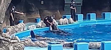 名古屋港水族館に投稿された画像（2022/8/27）