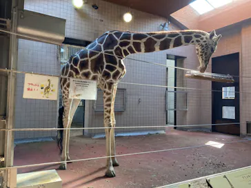 天王寺動物園に投稿された画像（2022/8/27）