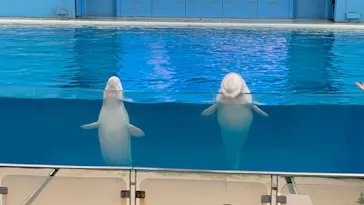 横浜・八景島シーパラダイスに投稿された画像（2022/8/27）