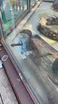 横浜・八景島シーパラダイスに投稿された画像（2022/8/27）