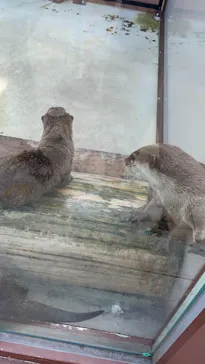 横浜・八景島シーパラダイスに投稿された画像（2022/8/27）