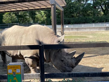 東武動物公園に投稿された画像（2022/8/27）