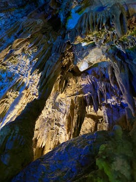 あぶくま洞に投稿された画像（2022/8/28）