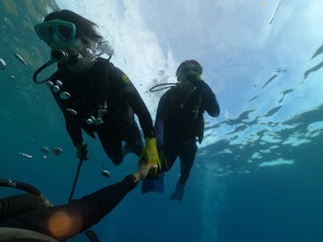 DIVING-SHOP SUNSに投稿された画像（2022/8/28）