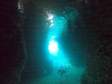 DIVING-SHOP SUNSに投稿された画像（2022/8/28）