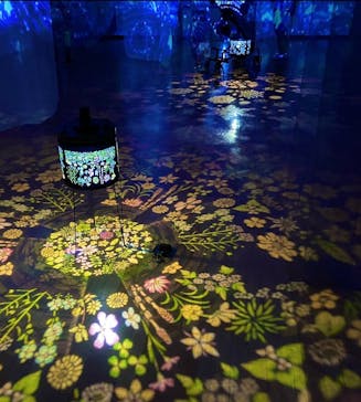 安祥文化のさとに投稿された画像（2022/8/28）