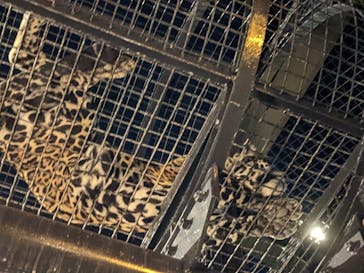 沖縄こどもの国に投稿された画像（2022/8/28）