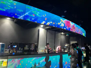 マクセル アクアパーク品川に投稿された画像（2022/8/28）