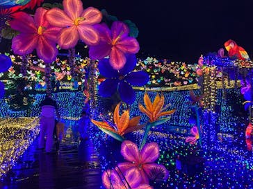 伊豆ぐらんぱる公園に投稿された画像（2022/8/28）