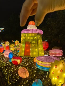 伊豆ぐらんぱる公園に投稿された画像（2022/8/28）