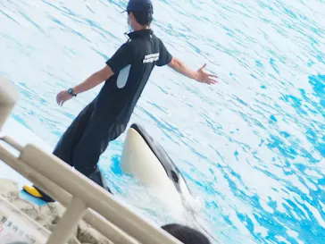 名古屋港水族館に投稿された画像（2022/8/28）