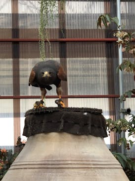 富士花鳥園に投稿された画像（2022/8/28）