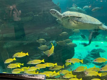 株式会社Gに投稿された画像（2022/8/28）