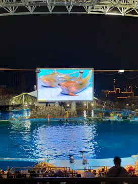 名古屋港水族館に投稿された画像（2022/8/28）