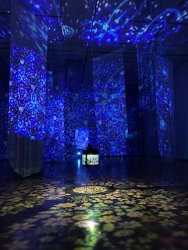 安祥文化のさとに投稿された画像（2022/8/28）