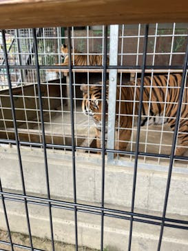 しろとり動物園に投稿された画像（2022/8/28）