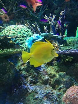 サンシャイン水族館に投稿された画像（2022/8/28）