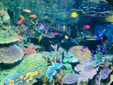 サンシャイン水族館に投稿された画像（2022/8/28）