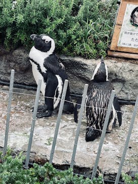 サンシャイン水族館に投稿された画像（2022/8/28）