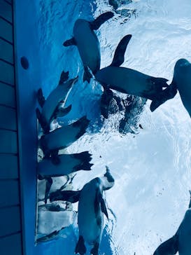 サンシャイン水族館に投稿された画像（2022/8/28）