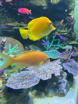 サンシャイン水族館に投稿された画像（2022/8/28）