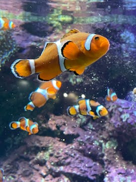 サンシャイン水族館に投稿された画像（2022/8/28）