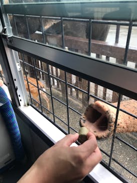 那須サファリパークに投稿された画像（2022/8/28）