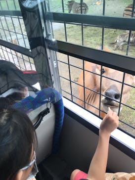 那須サファリパークに投稿された画像（2022/8/28）