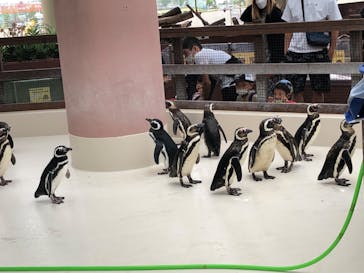 株式会社Gに投稿された画像（2022/8/28）